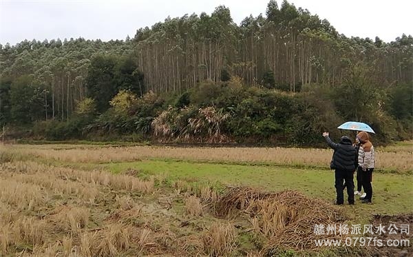 衢州市陈老师带着爱徒寻龙点穴